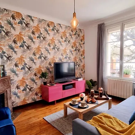 Appart Cosy 42M2 Orly 14 Min & Paris Direct Rer * Antony